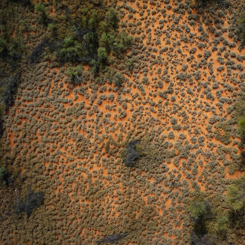 geonadir-7rpMEJsLu2I-unsplash (1) (1)