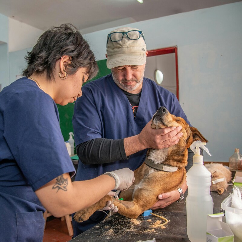 jonatan-bustos-P1Ku27zZJDs-unsplash (1) (1)